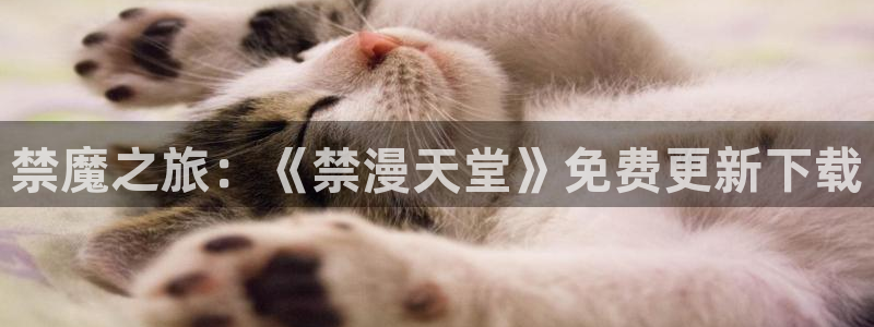 omofun无广告