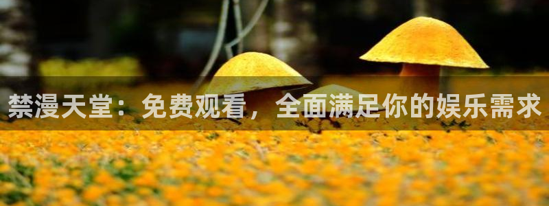 o站(omofun)官网