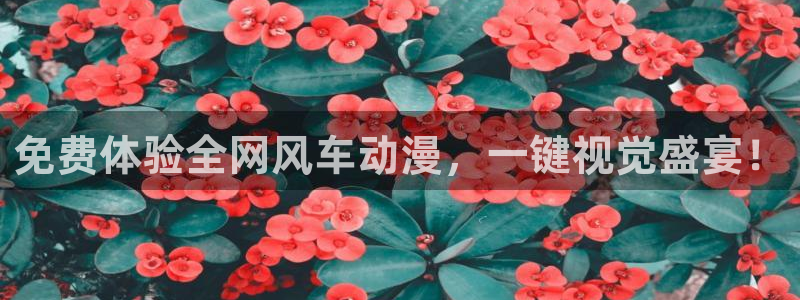 omofun动漫官网入口安卓