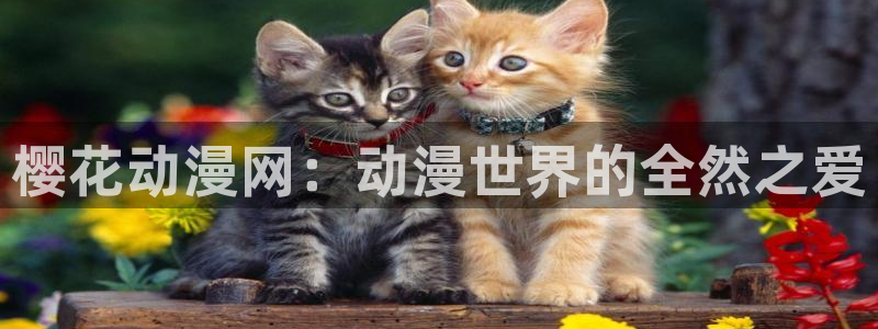 omofun旧版本