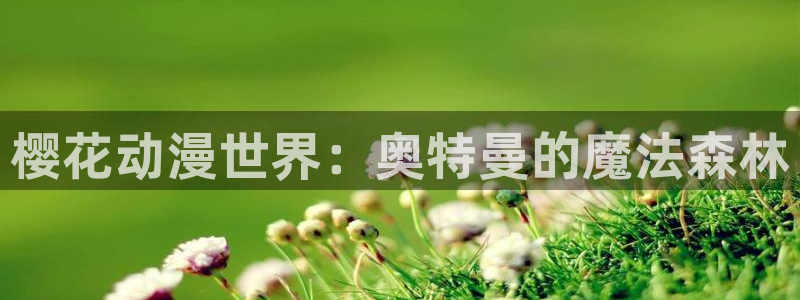 omofun下载无广告版