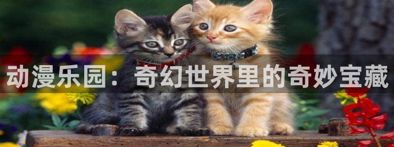 omofun可以投屏吗