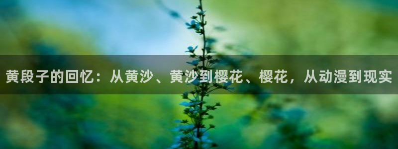 omofun电脑版