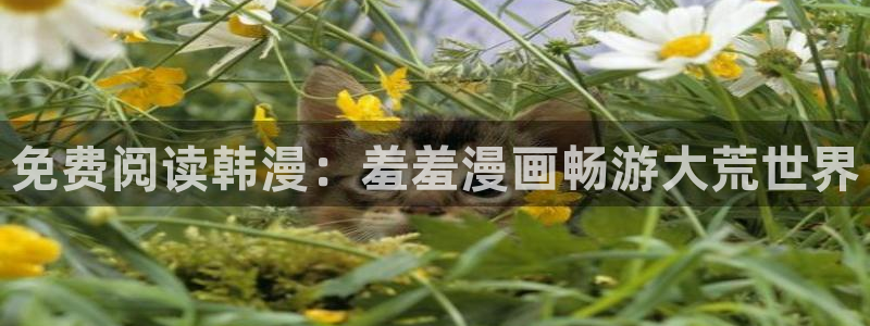 omofun动漫王国