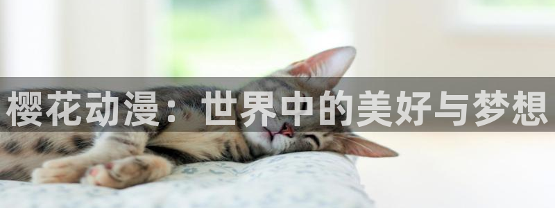 omofun动漫在线观看动漫最新版本更新