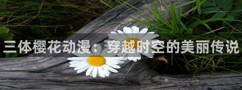 漫蛙漫画入口：三体樱花动漫：穿越时空的美丽传说