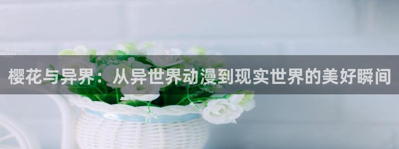 omofun下载最新：樱花与异界：从异世界动漫到现实世界的美好瞬间