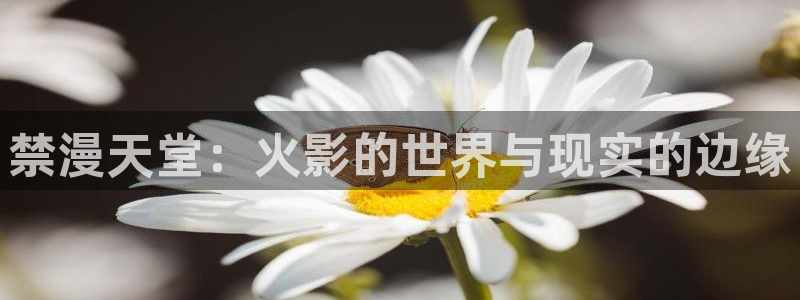 omofun官方网站下载：禁漫天堂：火影的世界与现实的边缘