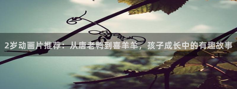 omofun.动漫在线看：2岁动画片推荐：从唐老鸭到喜羊羊，孩子成长中的有趣故事